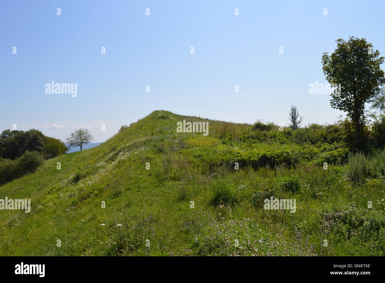 La cima di una collina verde Foto Stock