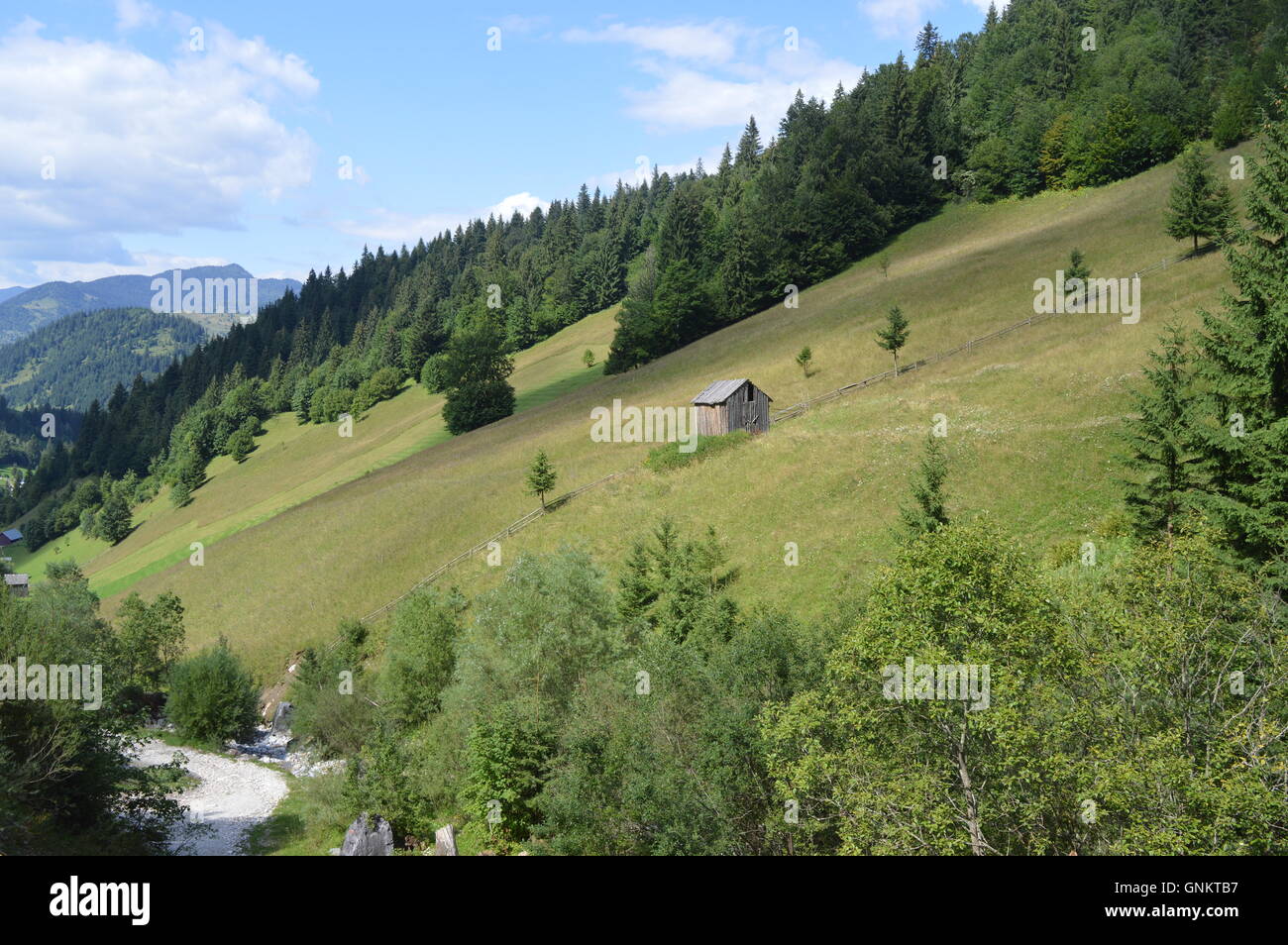 Di una verde collina nei pressi di una vecchia strada sterrata Foto Stock