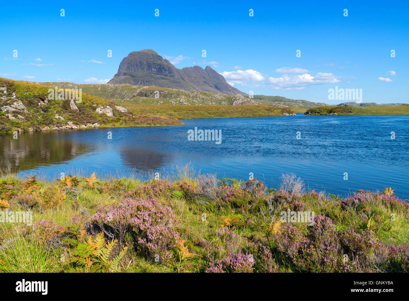 Vista della montagna Suilven in Assynt , Sutherland, Highland, Scotland, Regno Unito Foto Stock