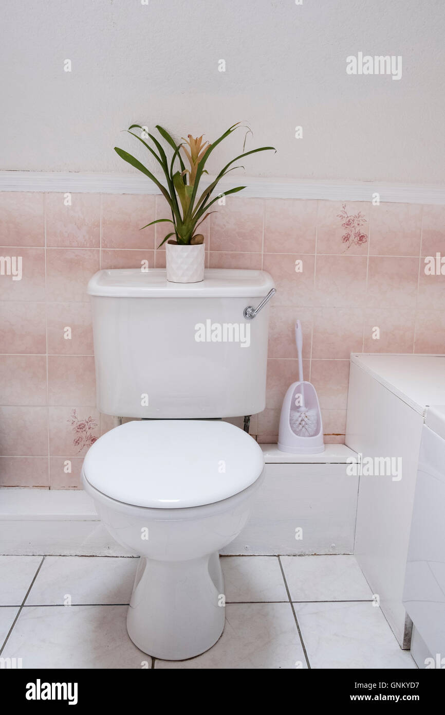 Dettaglio della toilette in bagno di budget guest house in Scozia, Regno Unito Foto Stock