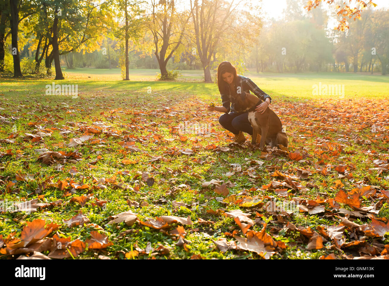Giovane e bella donna che gioca con il suo cane nel Parco in autunno. Foto Stock