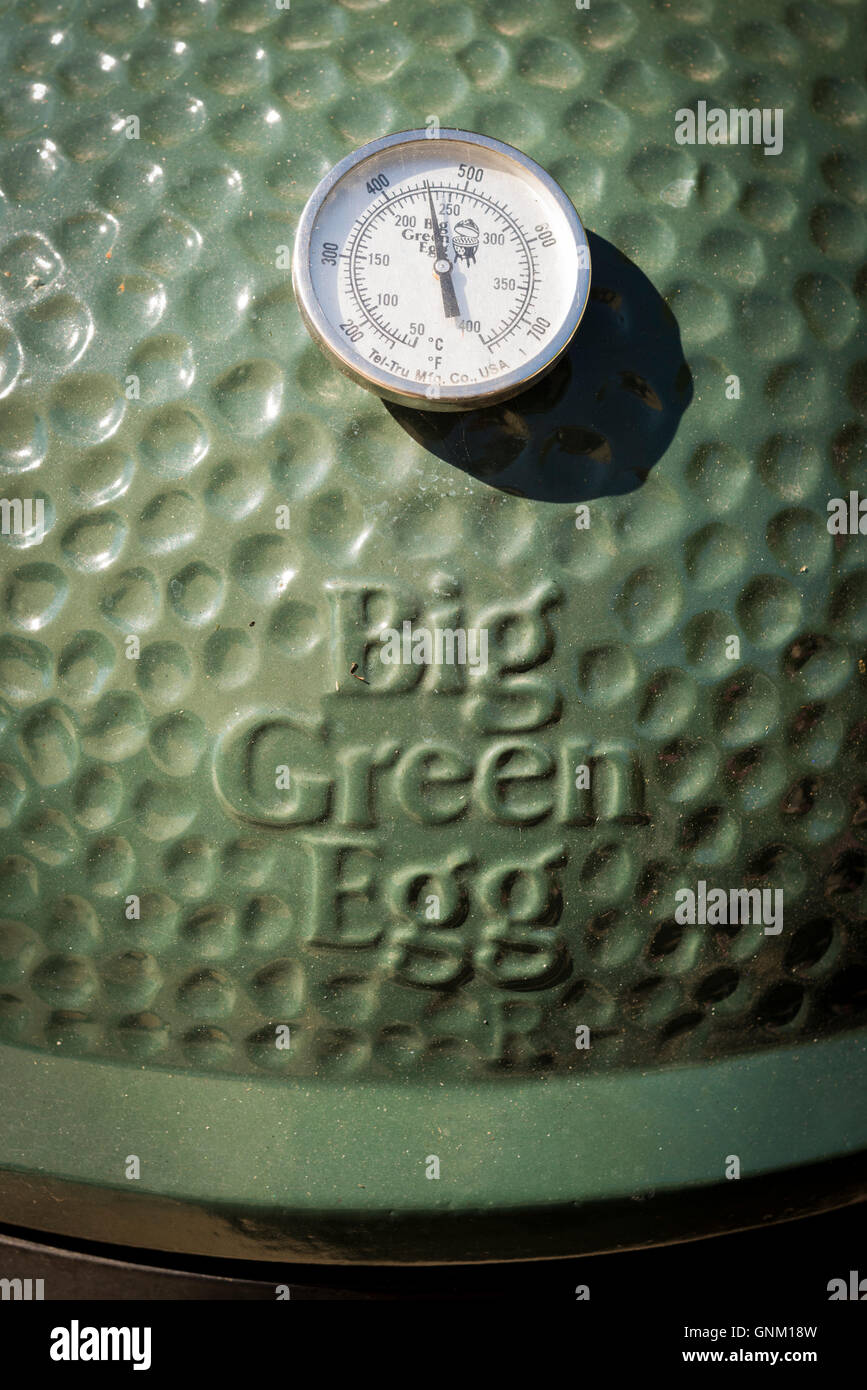 Close up dell'indicatore di temperatura e il logo su un grosso uovo verde Barbecue Foto Stock