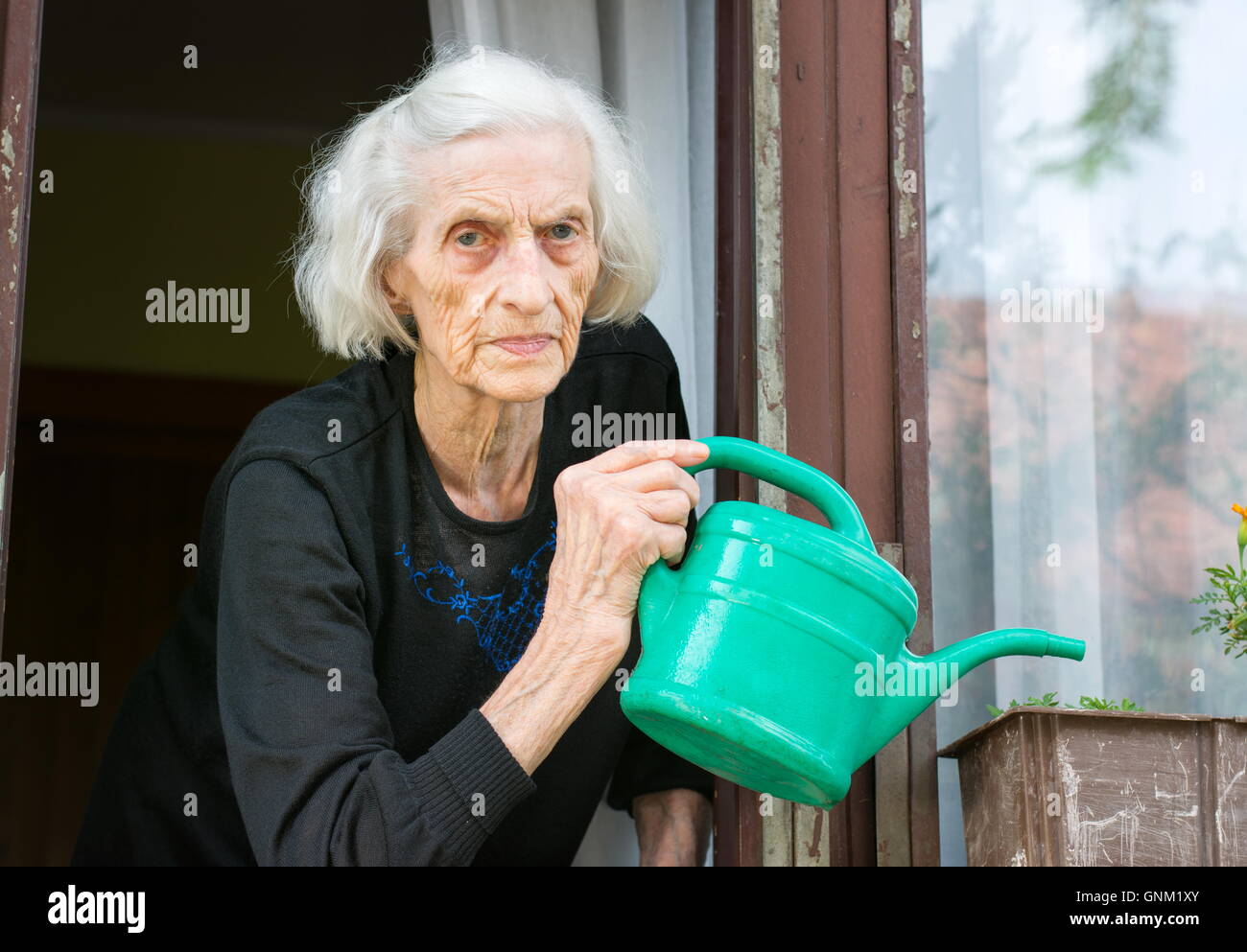Senior donna fiore di irrigazione per la sua finestra di casa Foto Stock