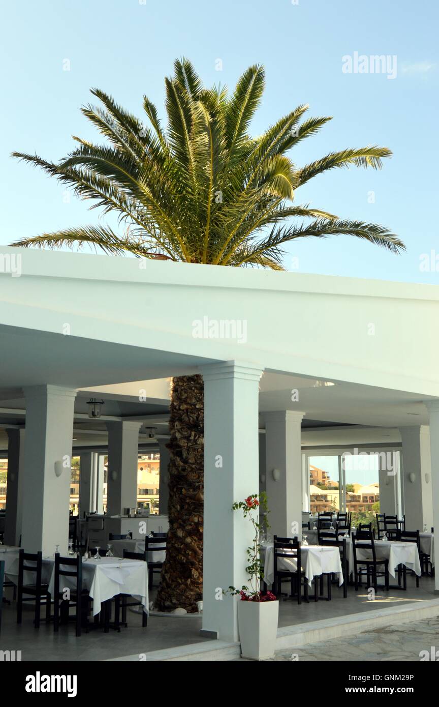 Palm tree trafigge il soffitto del ristorante dell'hotel. Foto Stock