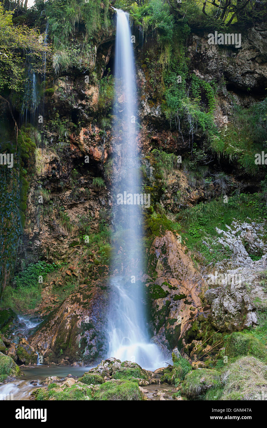 Vista la piccola cascata di acqua nella foresta Foto Stock