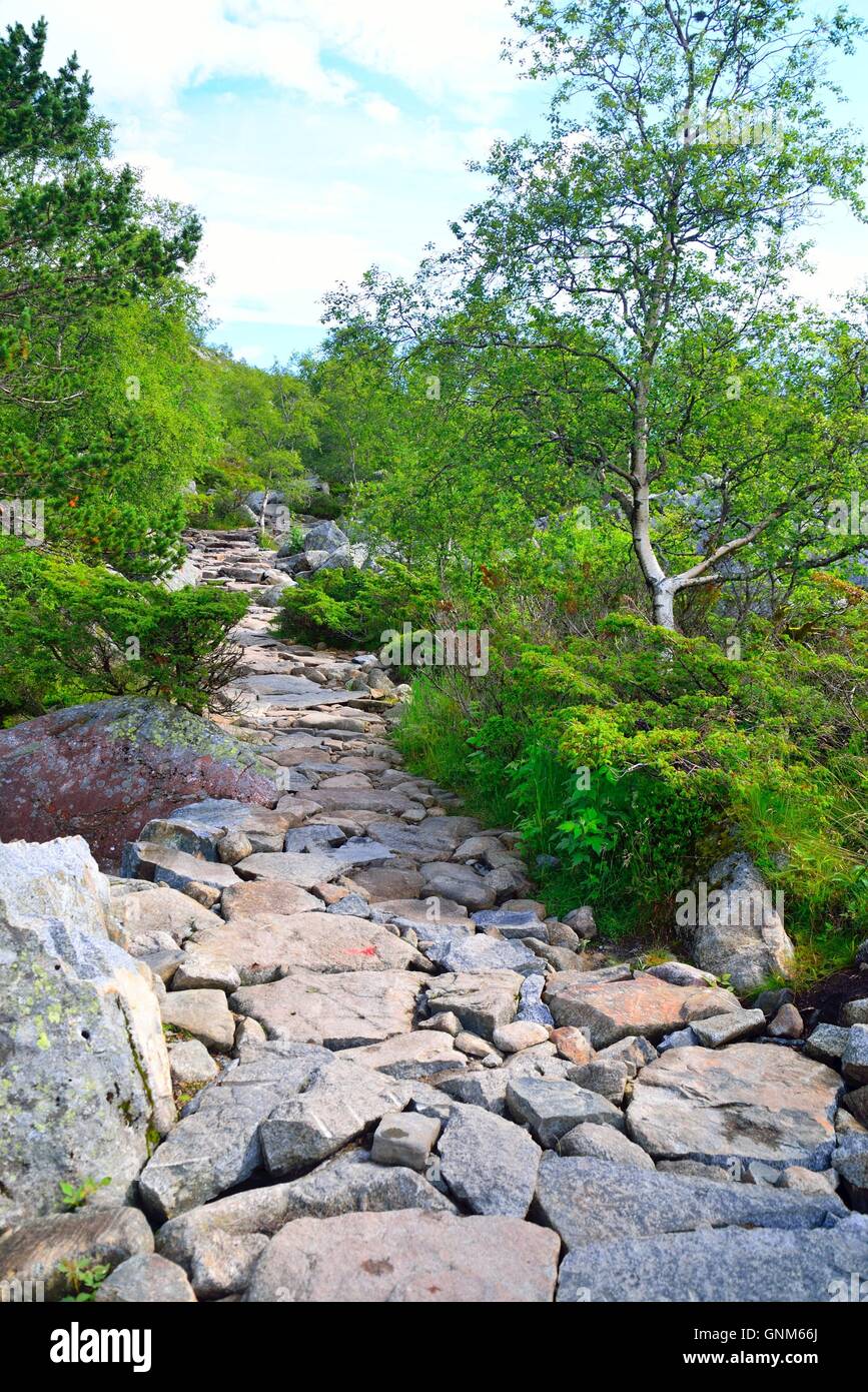 Percorso roccioso attraverso alcuni arbusti in Norvegia. Foto Stock