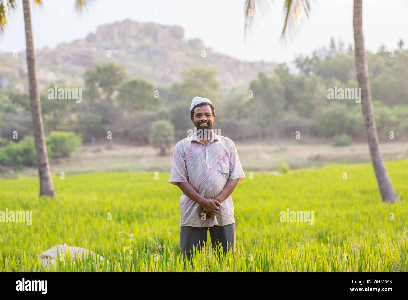 Ritratto di Mardan due, proprietario terriero in piedi in ginocchio alti erba di riso guardando nella telecamera al tramonto in Hampi, India Foto Stock