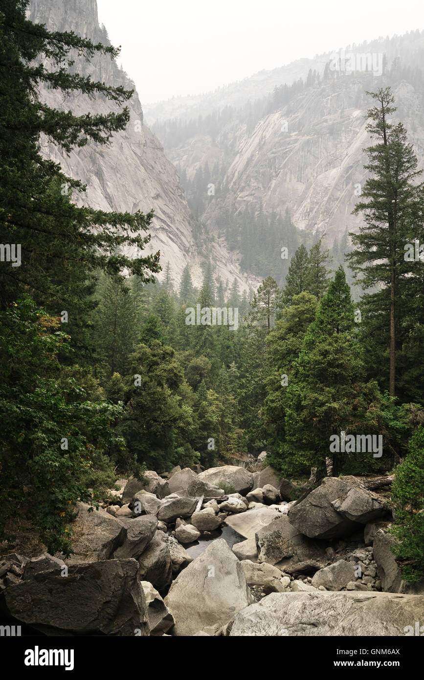 Vista delle montagne della Sierra Nevada in California il Parco Nazionale di Yosemite Foto Stock