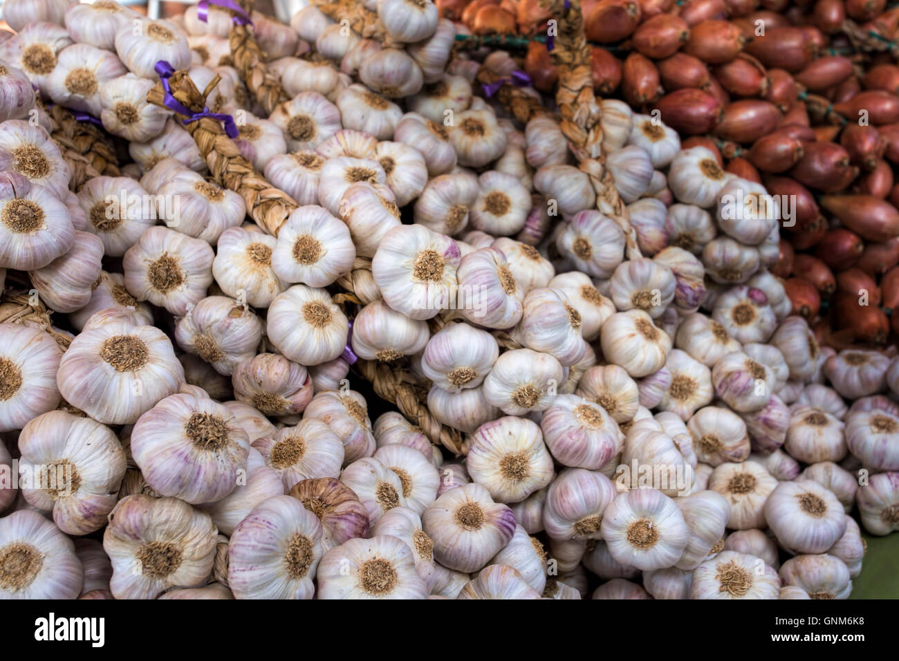 Stringhe di aglio steso su un mercato francese in stallo Foto Stock