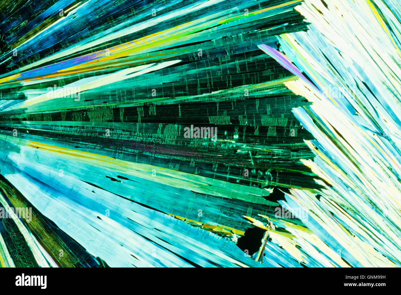 Urea o cristalli di carbamide in luce polarizzata Foto Stock