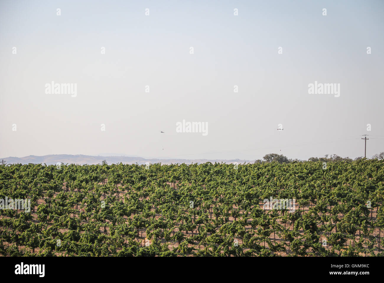 California wild fire in San Luis Obispo Foto Stock