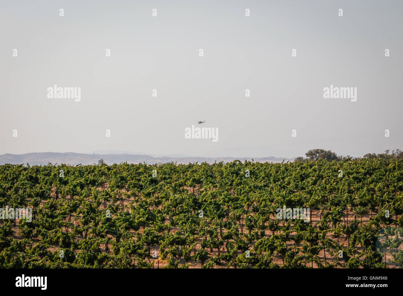California wild fire in San Luis Obispo Foto Stock