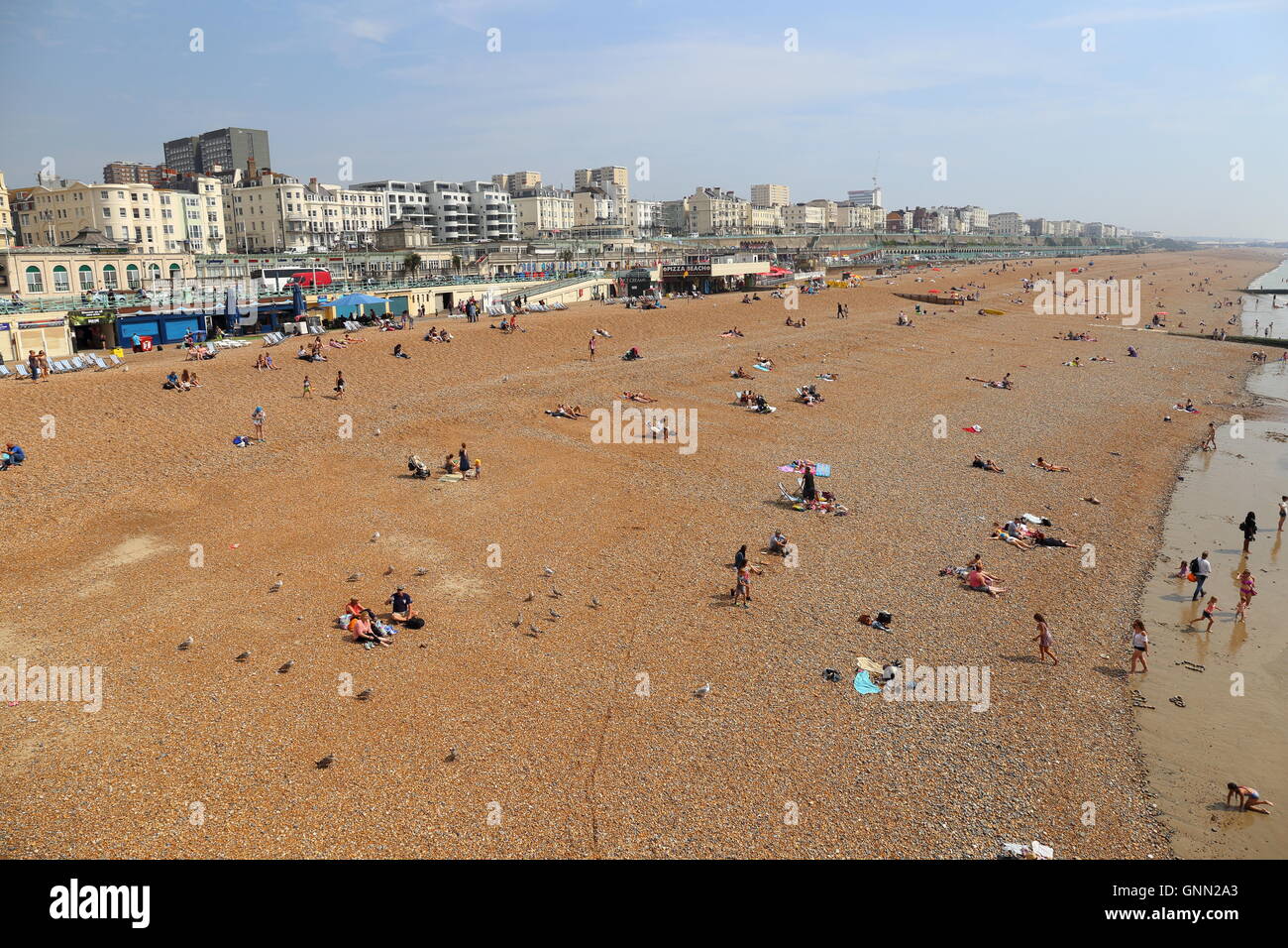 La spiaggia di Brighton e dal lungomare. Le famiglie possono usufruire di volta in mare. Foto Stock