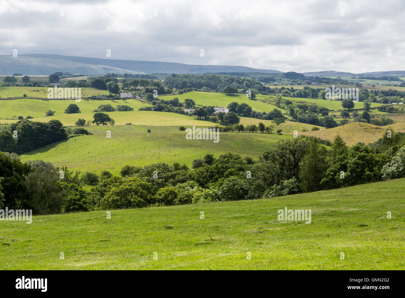 Cumbria, Inghilterra, Regno Unito. Cumbria vista campagna a sud del Vallo di Adriano, vicino Piper Sike torretta 51A. Foto Stock