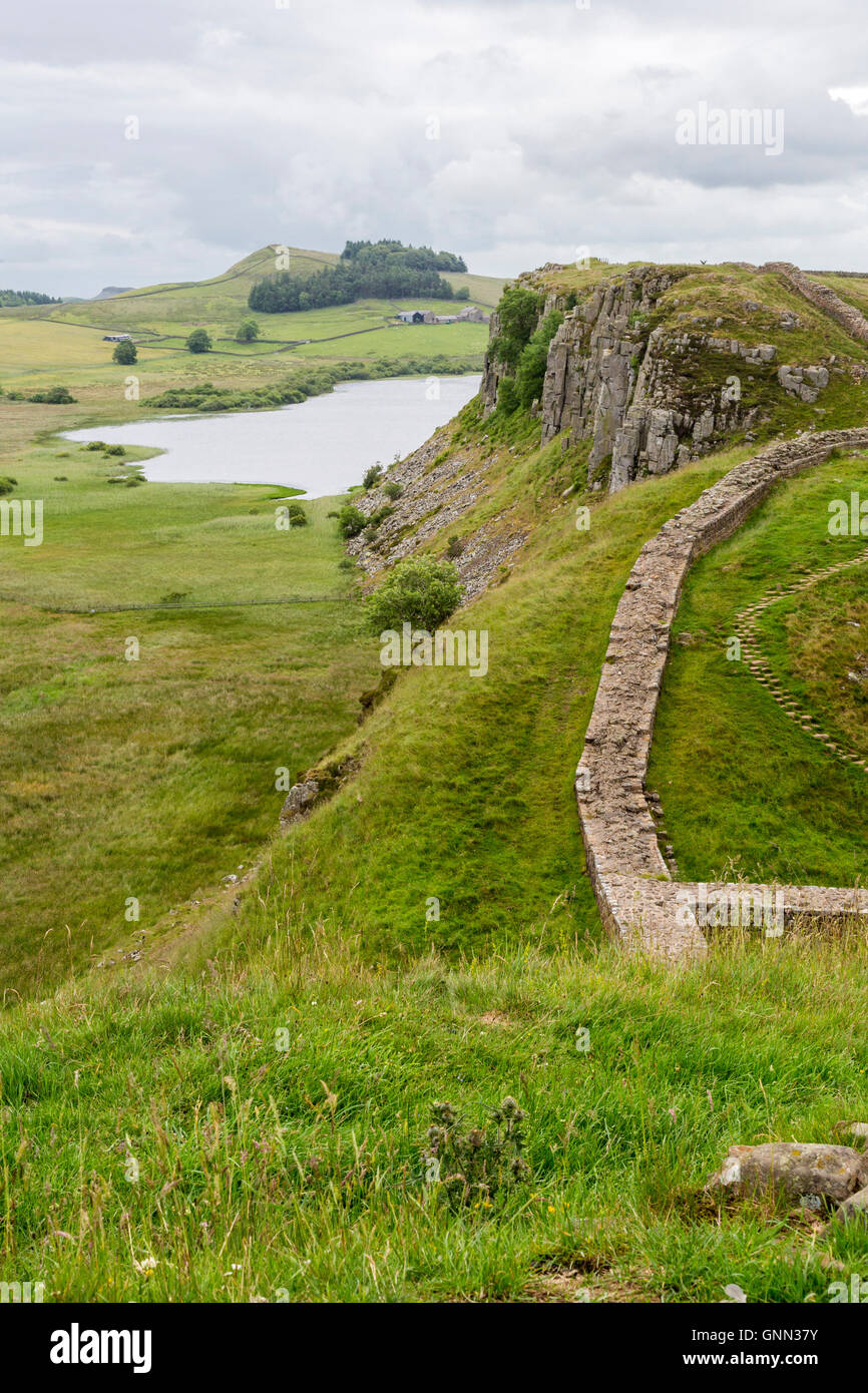Northumberland, Inghilterra, Regno Unito. Guardando verso Peel dirupi, falesia Lough, il vallo di Adriano (Pennine Way) Sentiero. Foto Stock