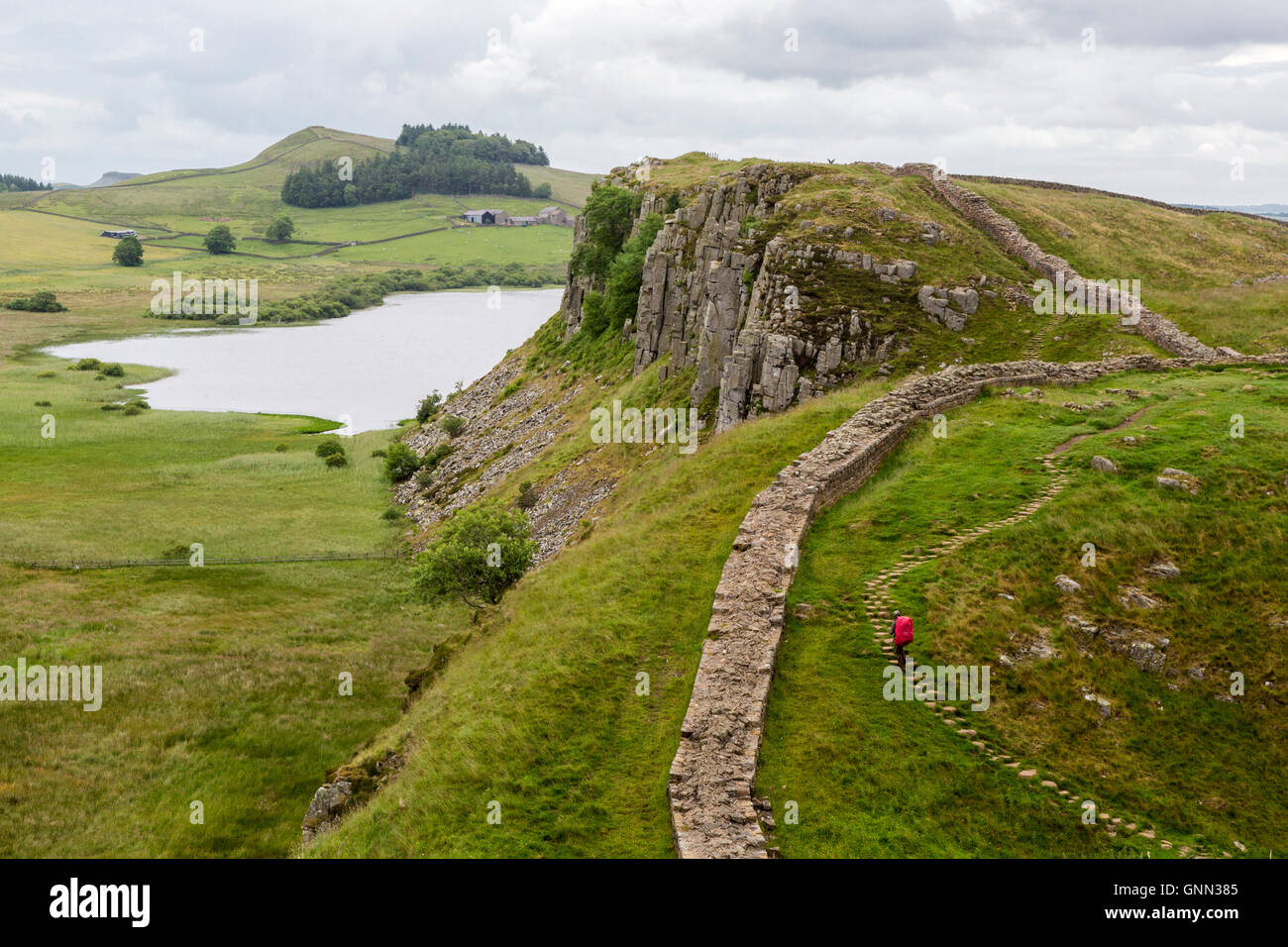 Northumberland, Inghilterra, Regno Unito. Guardando verso Peel dirupi, falesia Lough, il vallo di Adriano (Pennine Way) Sentiero. Foto Stock