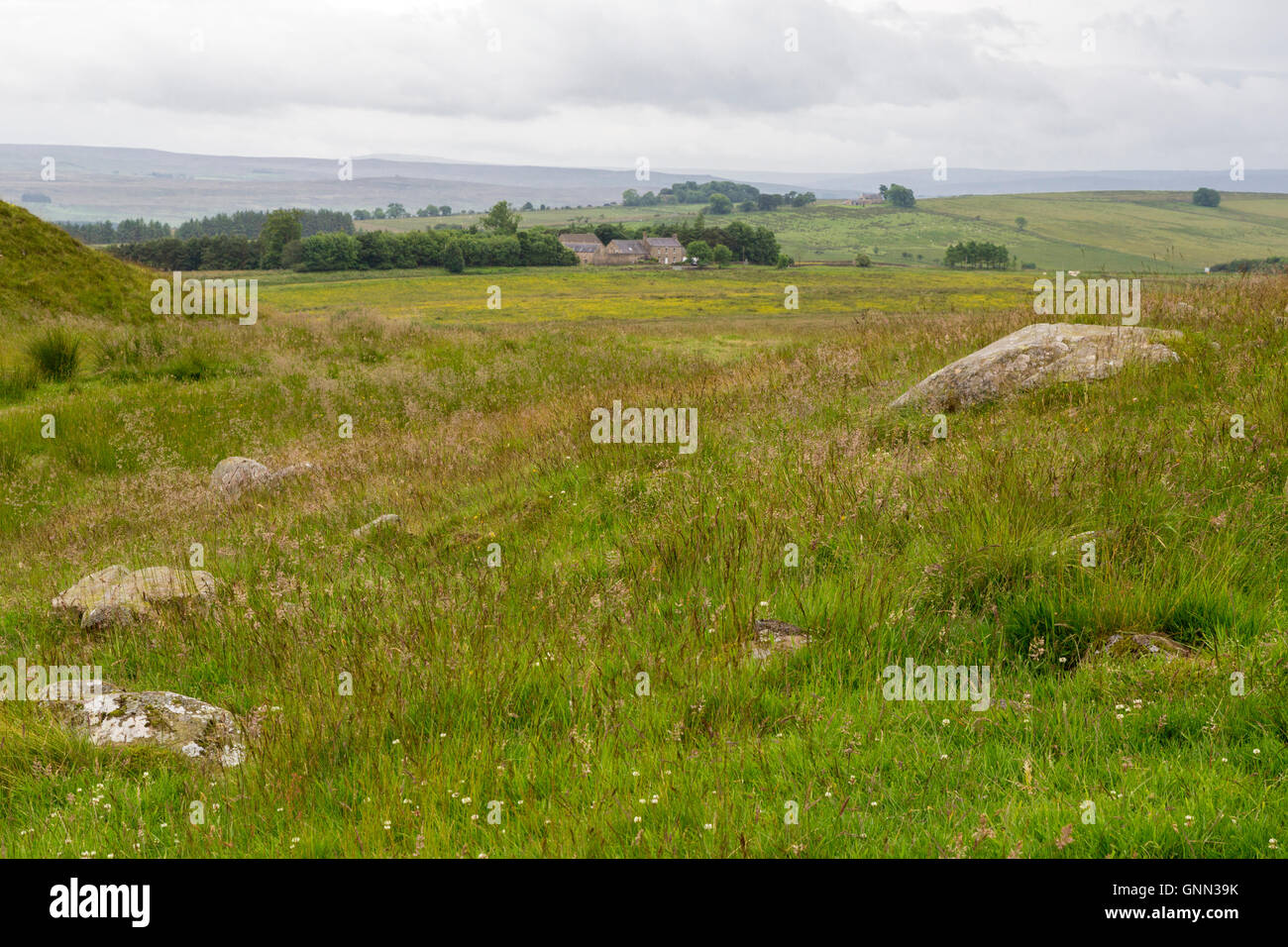 Northumberland, Inghilterra, Regno Unito. Guardando a Sud dal vallo di Adriano (Pennine Way) Sentiero al divario di platano. Foto Stock