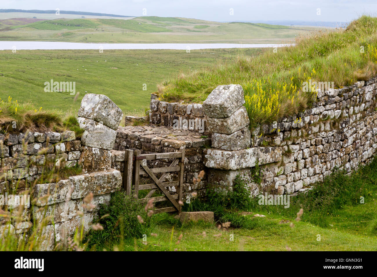 Northumberland, Inghilterra, Regno Unito. Milecastle 37 con resti di Arco sul Gateway apertura al nord. Broomlee Lough a distanza Foto Stock