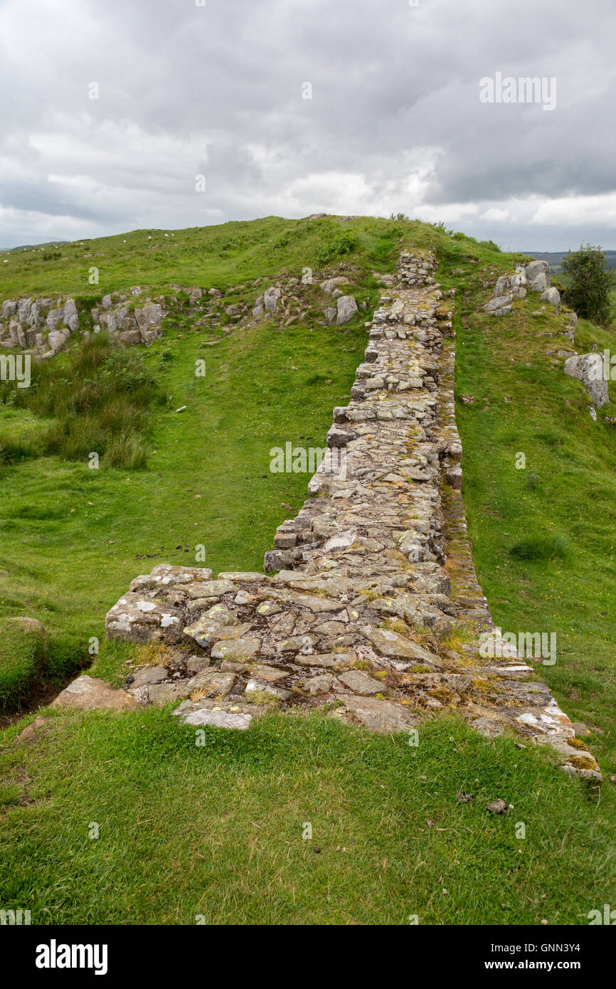 Northumberland, Inghilterra, Regno Unito. Il Vallo di Adriano vicino a Milecastle 35. Foto Stock