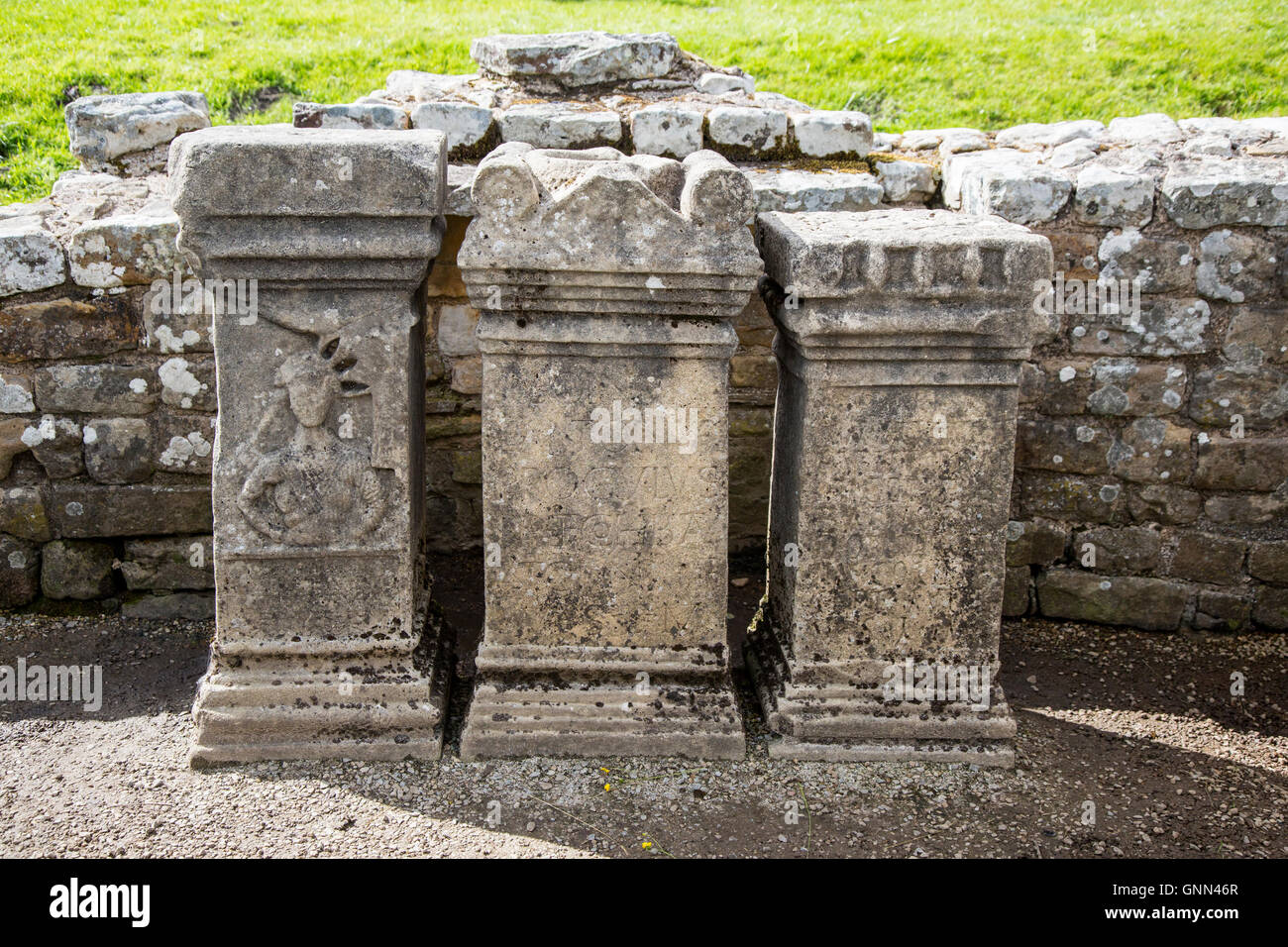 Northumberland, Inghilterra. Altare repliche Brocolitia Mithraic Temple (Carrawburgh tempio di Mitra). Il Vallo di Adriano di sentiero. Foto Stock