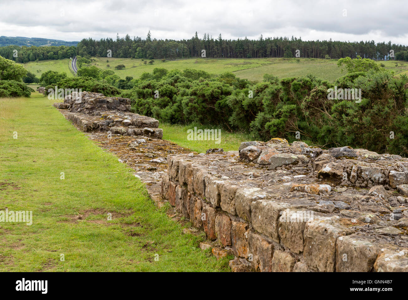Northumberland, Inghilterra, Regno Unito. Il Vallo di Adriano, strada militare (B6813) in background, vicino Walwick. Foto Stock