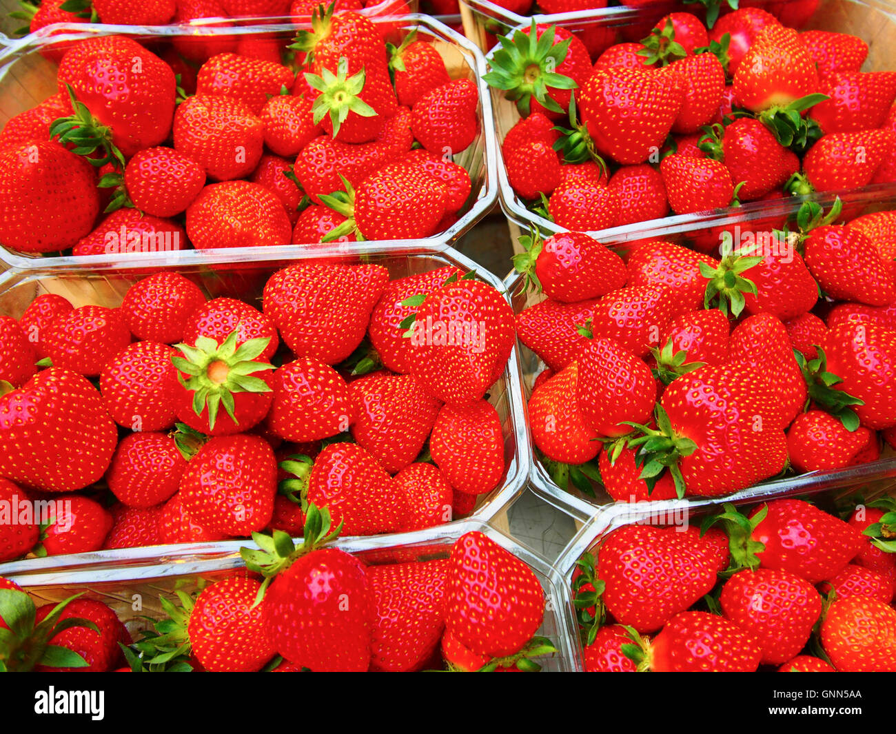Mercato, fragole, Marché des Capucins, 3, Bordeaux, Gironde. Aquitaine Francia Europa Foto Stock