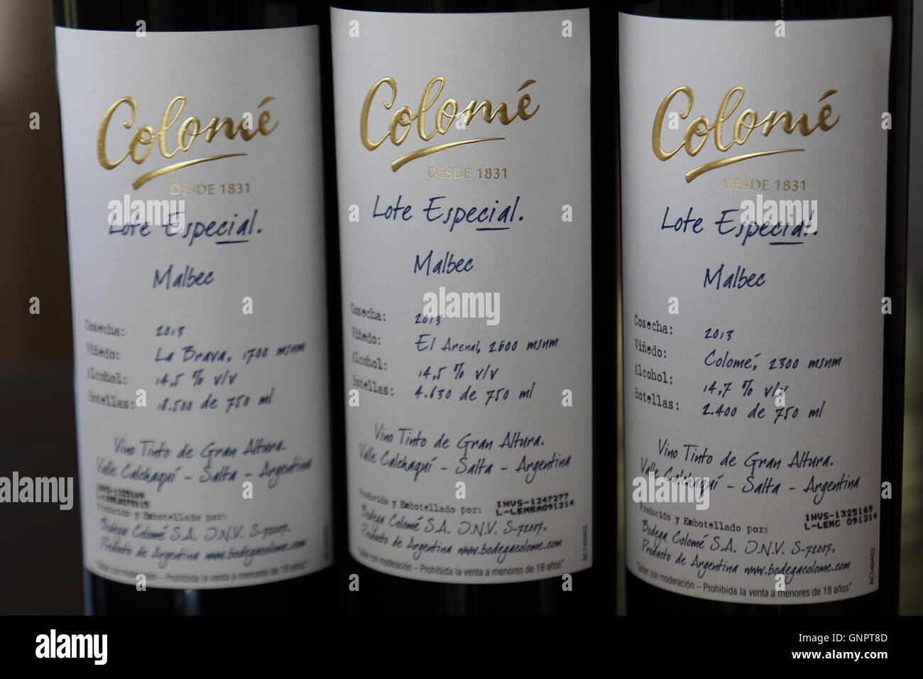 Tre bottiglie di vino 'Malbec' provenienti da vigneti diversi a Bodega y Estancia Colomé, Salta, Argentina Foto Stock