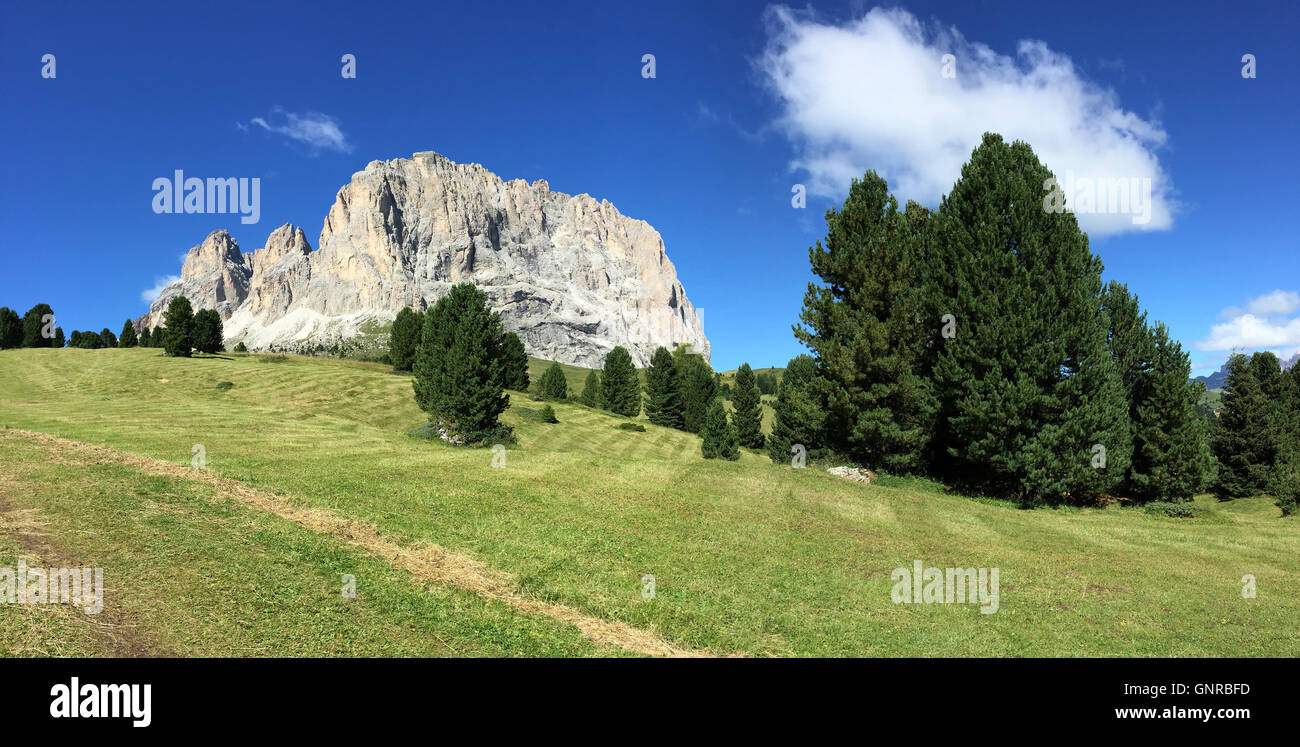 Paesaggi delle Dolomiti in una soleggiata giornata estiva con prato e alberi, Italia Foto Stock
