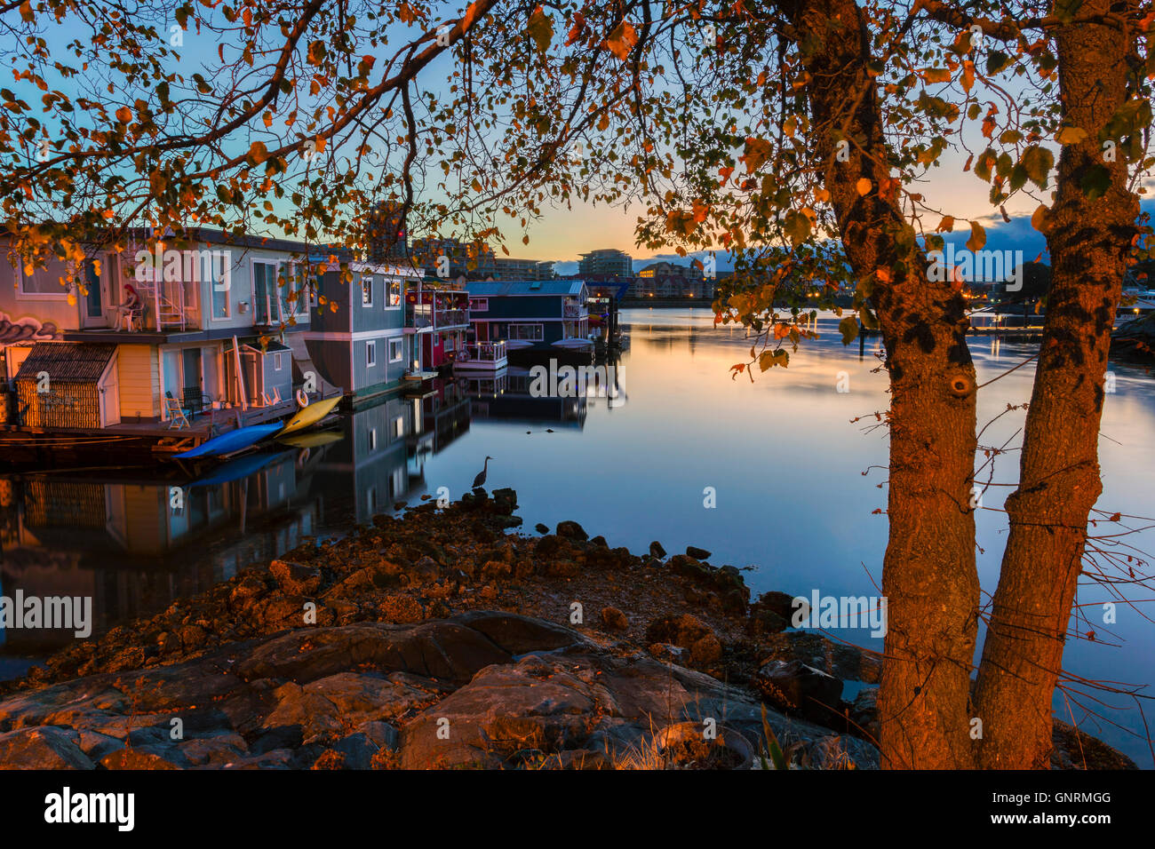 Pontile del Pescatore all'alba-Victoria, British Columbia, Canada. Foto Stock