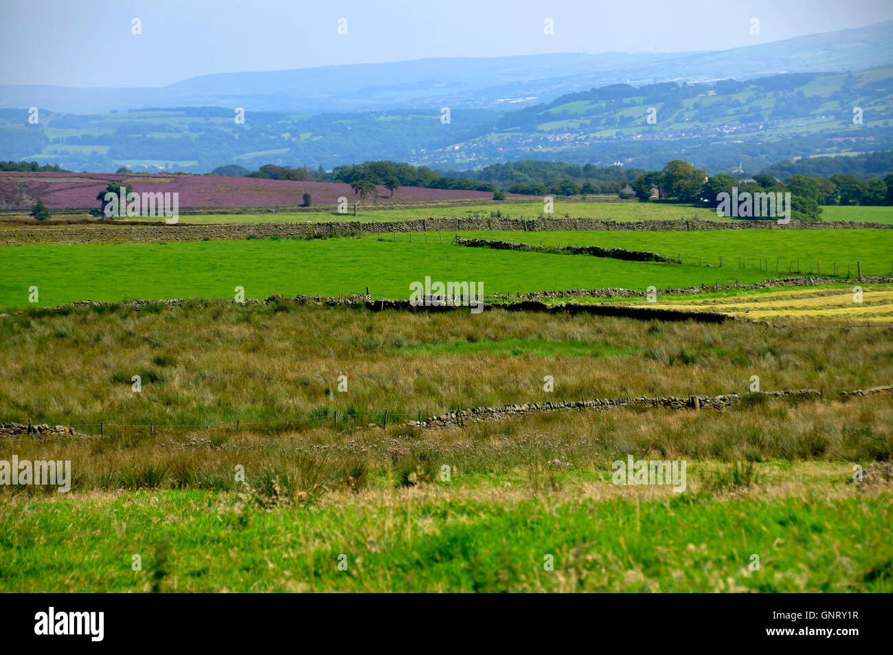 Campi verdi Foto Stock