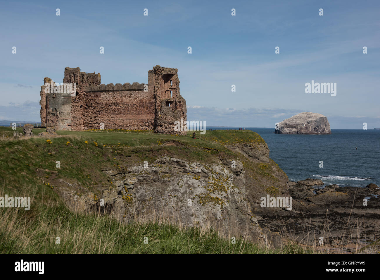 A North Berwick, Regno Unito, guardare Tantallon Castle e Bass Rock Foto Stock