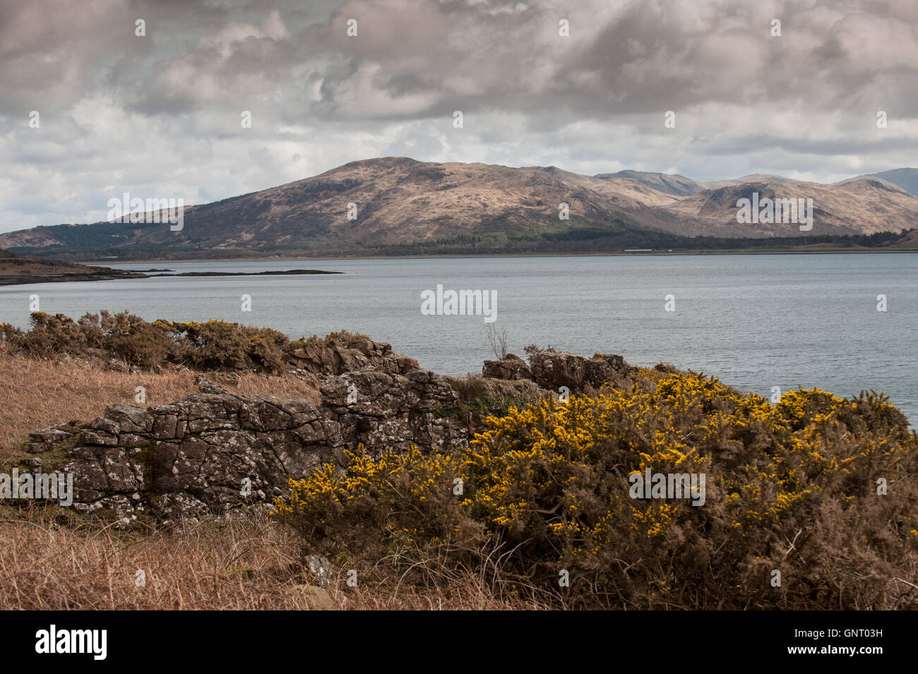 Tobermory, UK, costa dell'isola di Mull in Scozia Foto Stock