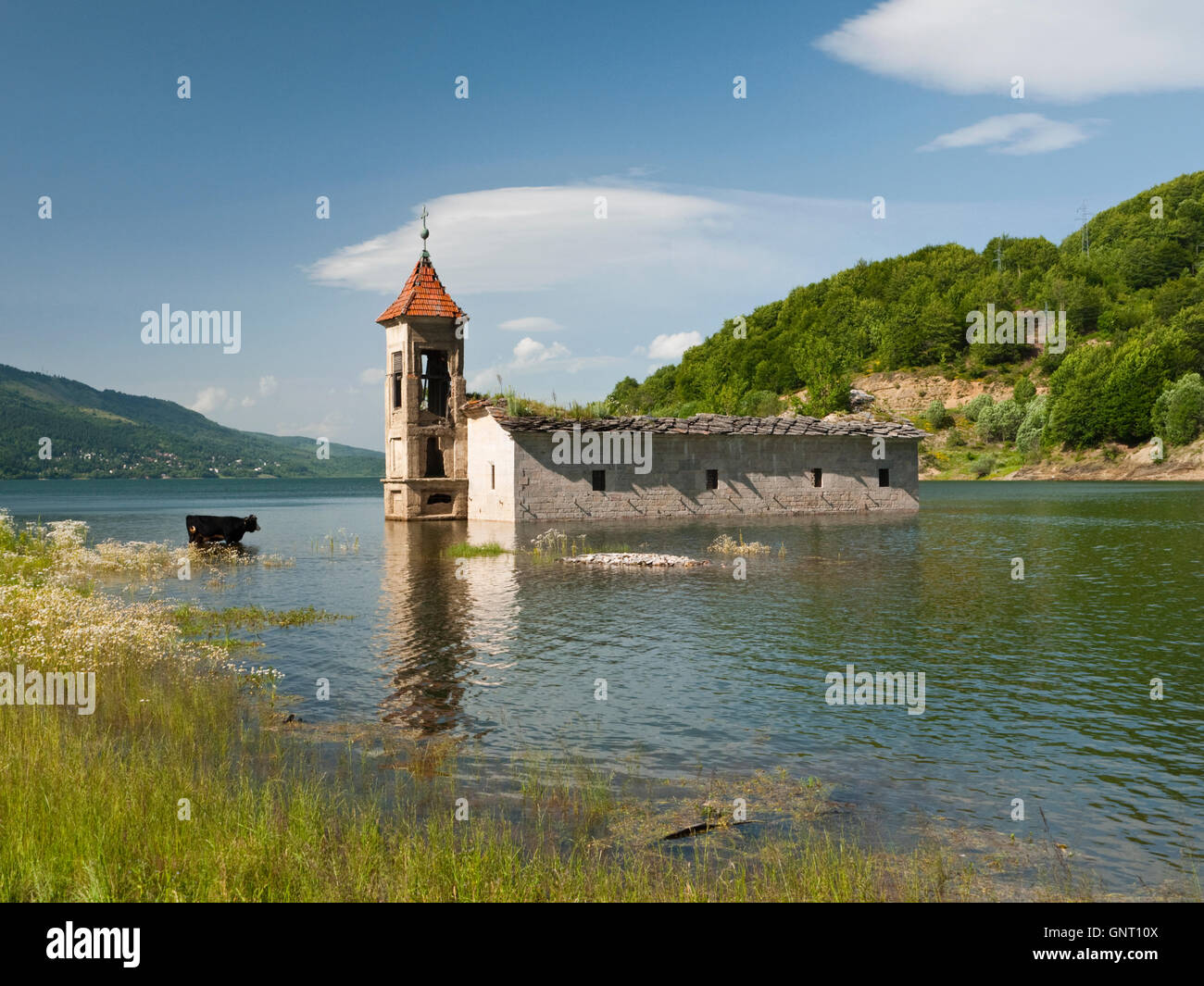Il sunken chiesa di San Nicola a Mavrovo, Macedonia - vittima di un serbatoio di Mavrovo schema idroelettrico. Foto Stock
