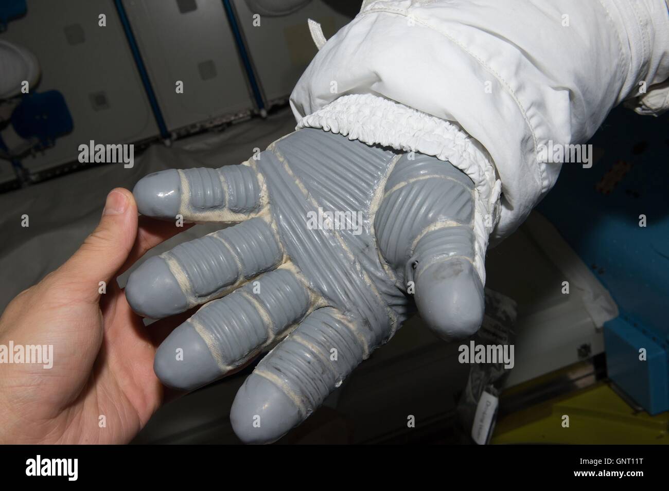 Stazione Spaziale Internazionale Expedition 48 astronauta Jeff Williams ispeziona la sua tuta guanti prima di prendere parte a una spacewalk con il compagno astronauta Kate Rubins per installare un nuovo internazionale adattatore docking Agosto 19, 2016 in orbita intorno alla terra. Foto Stock