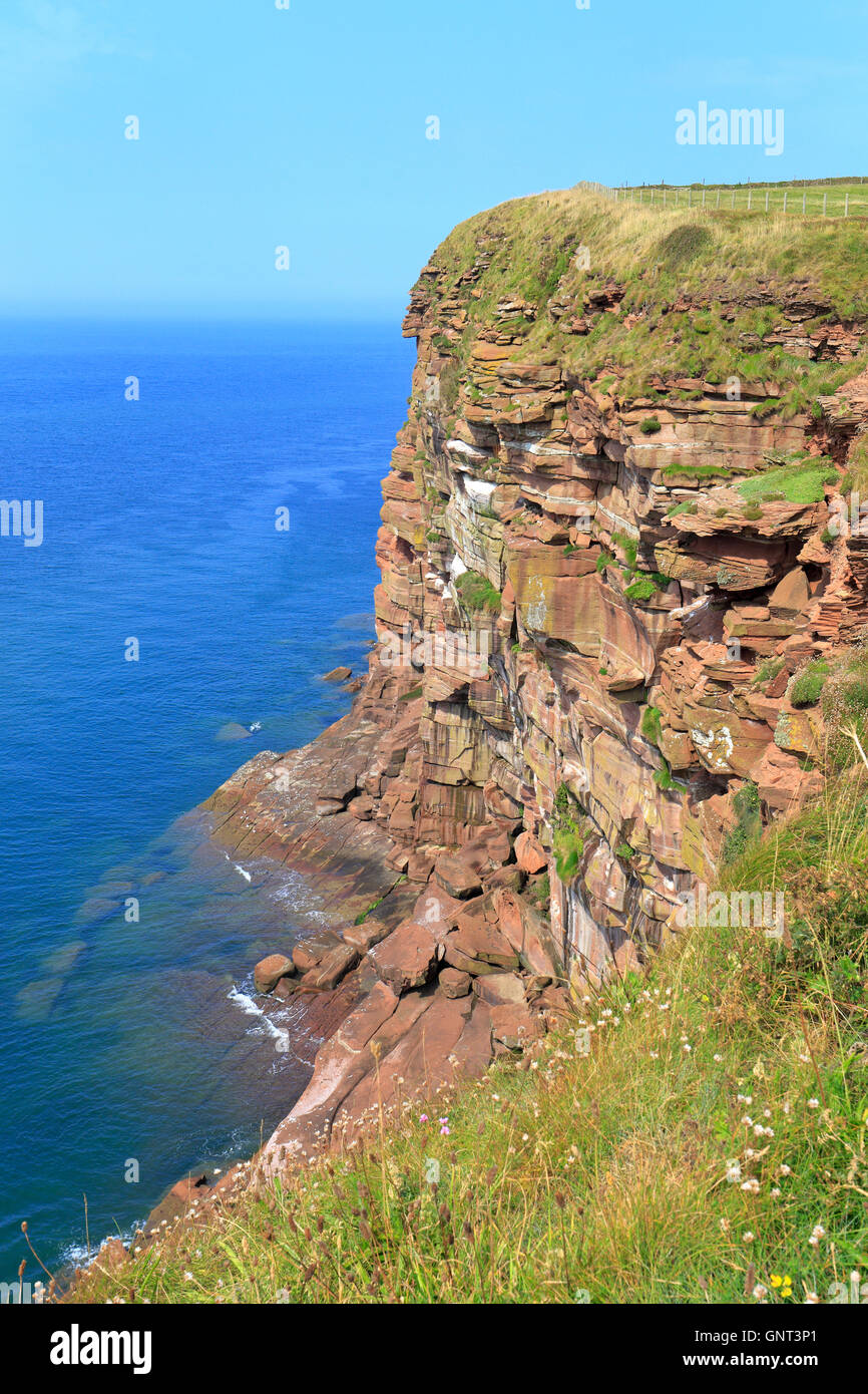 Rosso scogliere di arenaria della RSPB riserva a St api Testa, Cumbria, Inghilterra, Regno Unito. Foto Stock