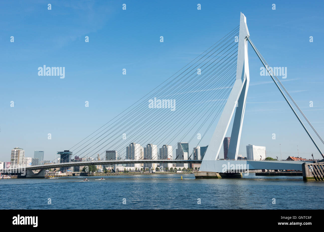 ROTTERDAM, PAESI BASSI- Agosto 31, 2016: La erasmusbridge con lo skyline della città Rotterddam su 31 Agosto 2016 in Rotterda Foto Stock ROTTERDAM, PAESI BASSI- Agosto 31, 2016: La erasmusbridge con lo skyline della città Rotterddam su 31 Agosto 2016 in Rotterda Foto Stock