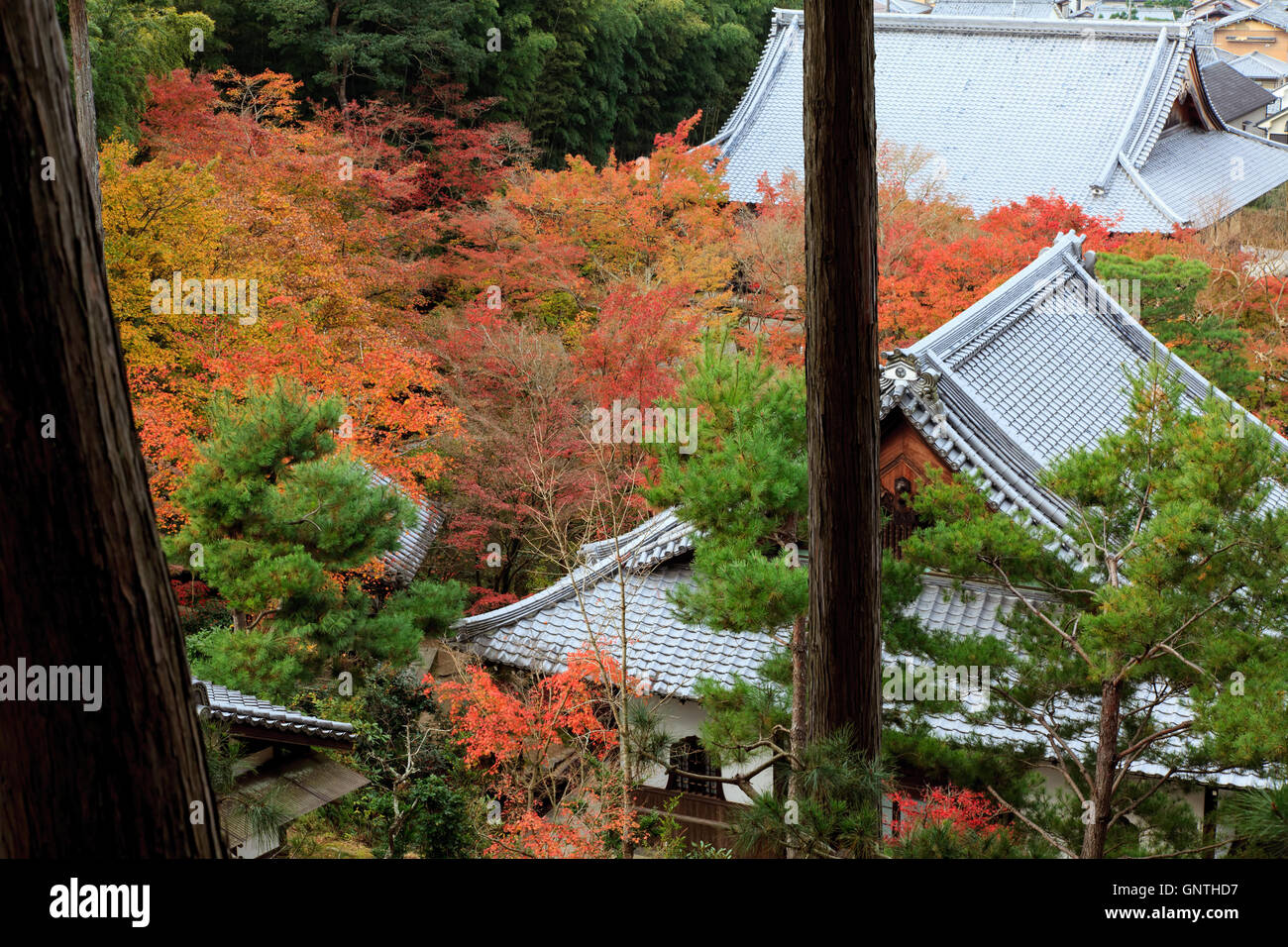 Tempio coperta con alberi colorati in autunno in Giappone Foto Stock