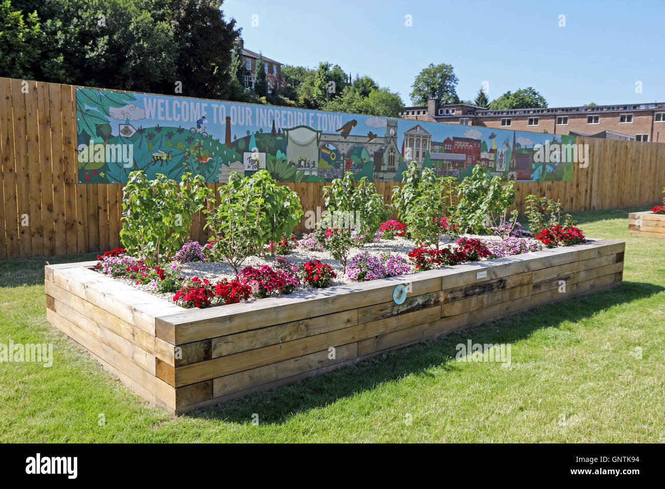 La frutta e la verdura cresce in letti sollevata come parte di incredibile schema commestibili, Todmorden Foto Stock