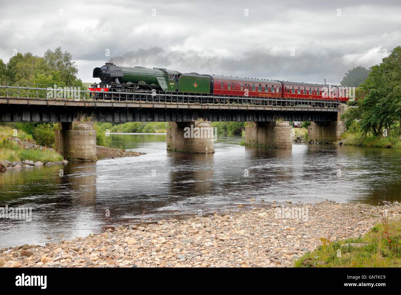 Treno a vapore Flying Scotsman. Viaggiando ad ovest sulla South Tyne, Ridley Hall ponte ferroviario, Bardon Mill, N&CR, Northumberland. Foto Stock