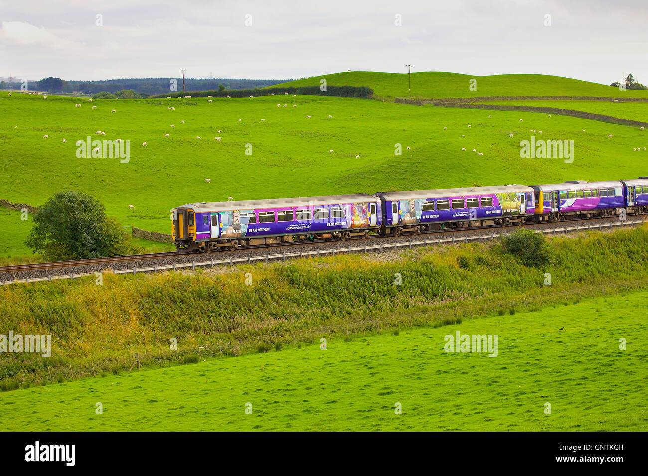 Classe,156 super sprinter treno e Classe 142 treno Pacer su un terrapieno. Gilsland, Cumbria, England, Regno Unito, Europa. Foto Stock