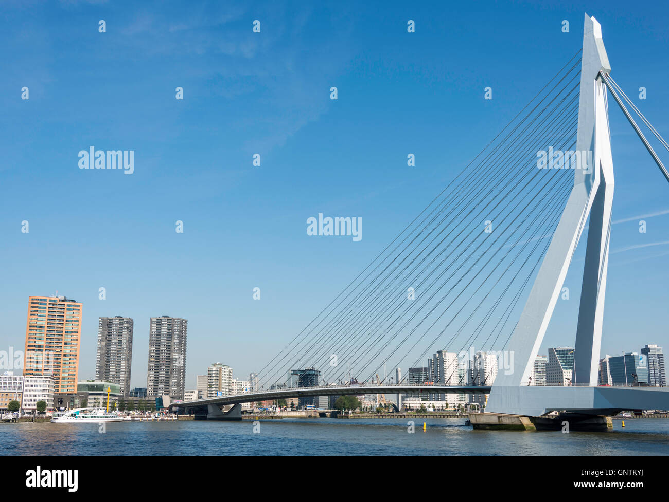 ROTTERDAM, PAESI BASSI- Agosto 31, 2016: Erasmusbridge con lo skyline della città Rotterddam il 31 agosto 2016 a Rotterdam,TH Foto Stock
