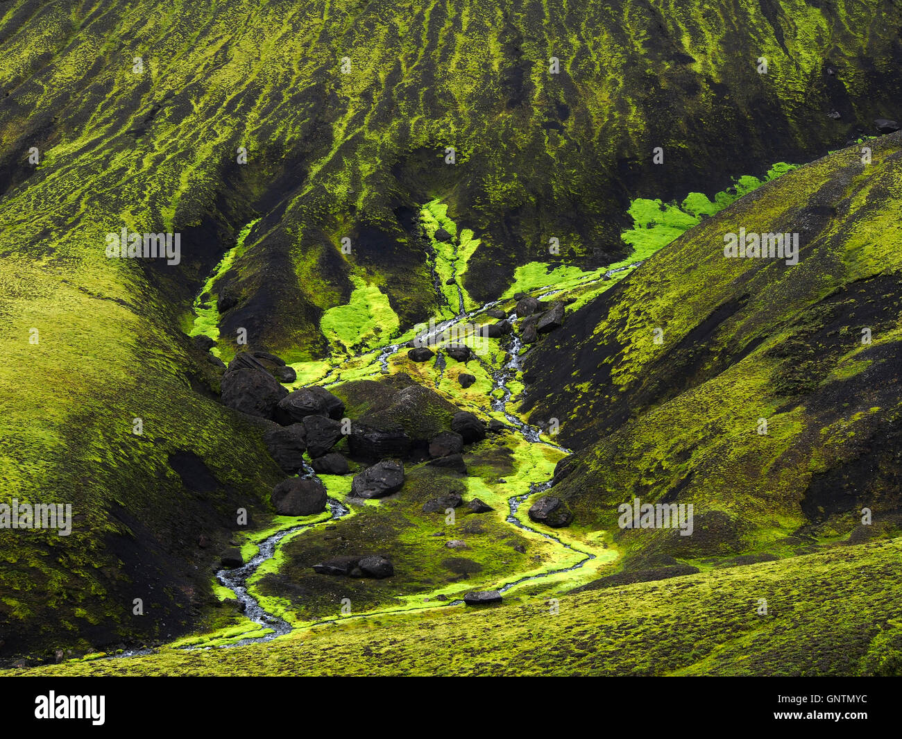 Verde e piste nere e streaming di valle, Svartahnúksfjöll, Islanda Foto Stock