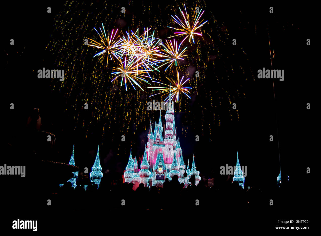 Fuochi d'artificio sopra il castello Cinderellas nel Magic Kingdom Foto Stock