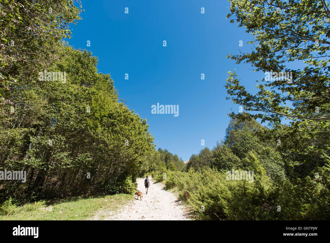 Uomo e cane fa escursionismo in montagna, trekking Abruzzo, Italia Foto Stock