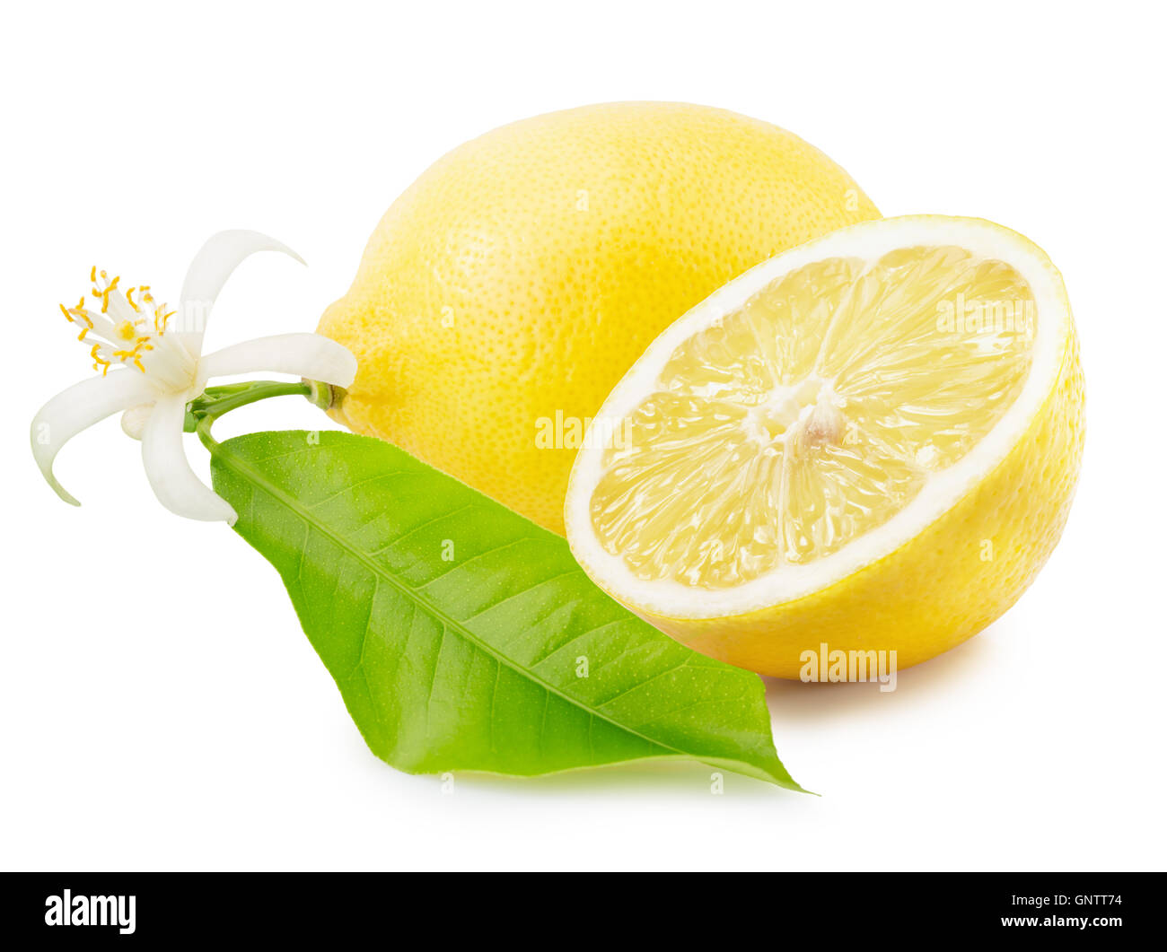 Limoni isolato su uno sfondo bianco. Foto Stock