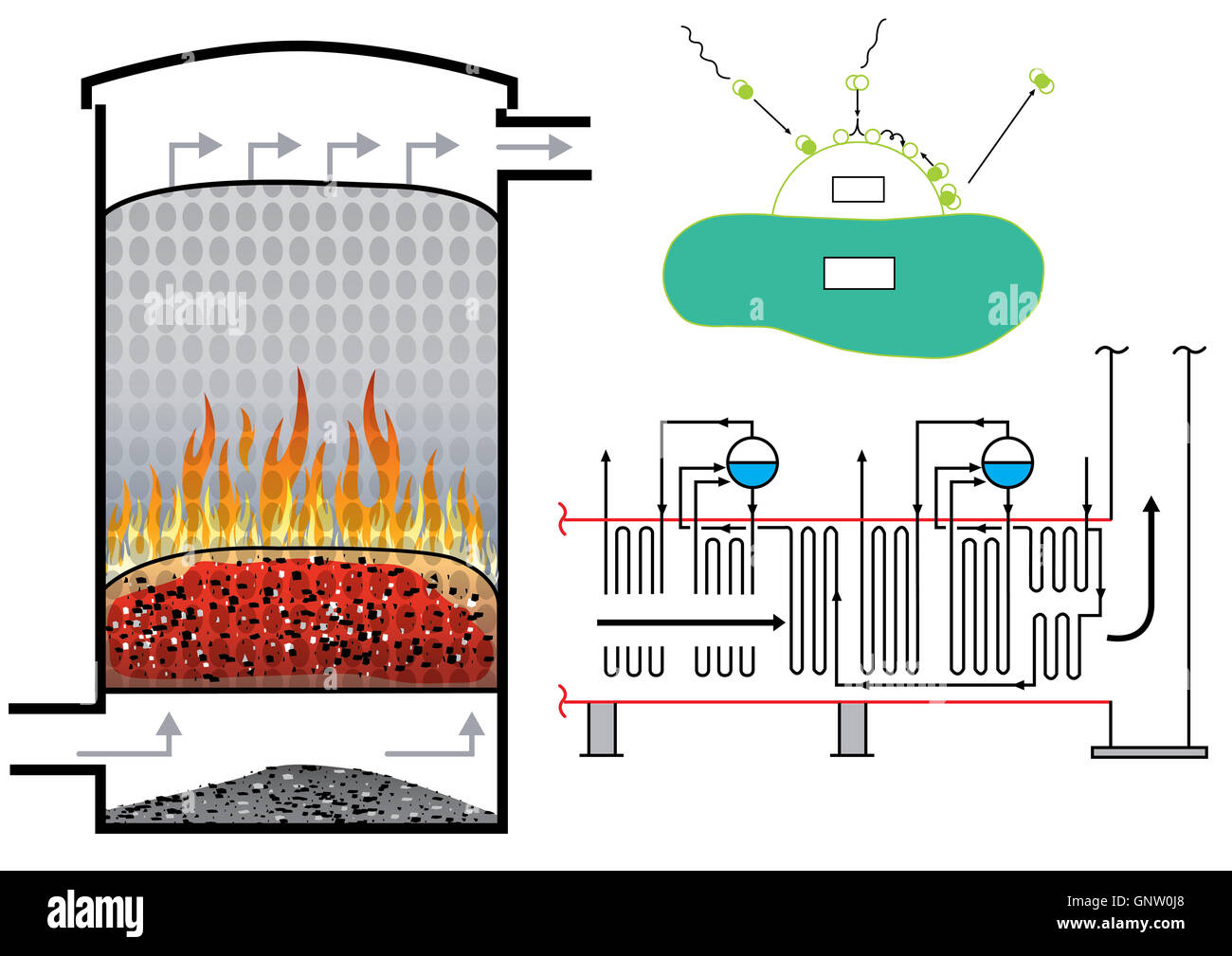 La biomassa è di materia organica derivata da vivere energia rinnovabile. La sicurezza dell'energia Foto Stock