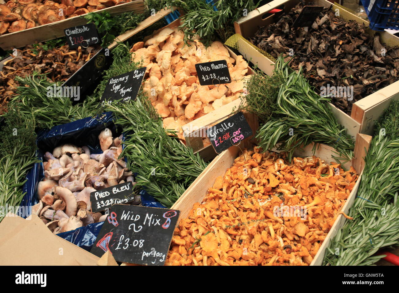 Selezione di funghi selvatici in un mercato. Foto Stock
