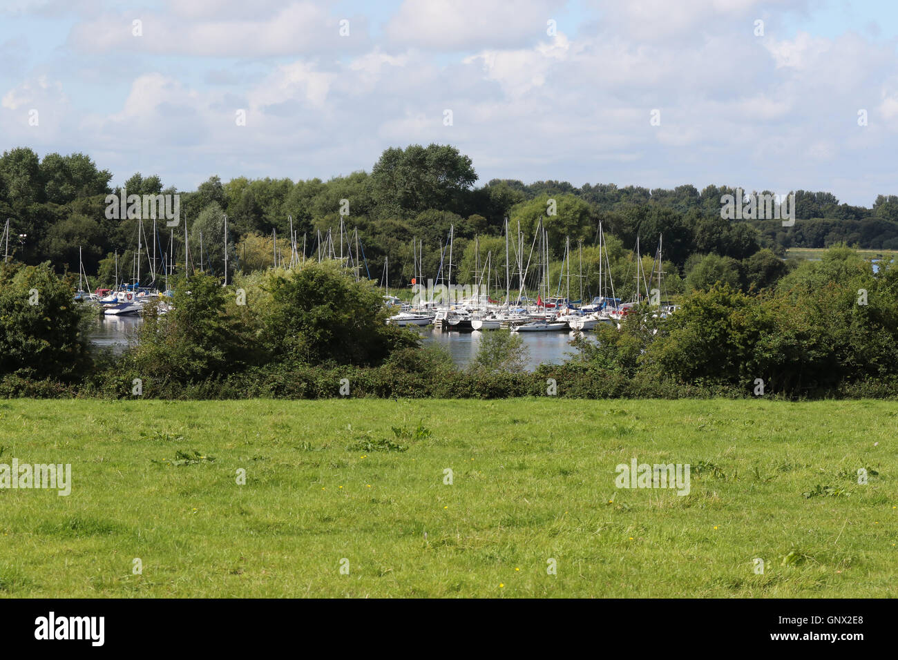 Lough Neagh - il più grande lago d'acqua dolce in Irlanda del Nord Foto Stock