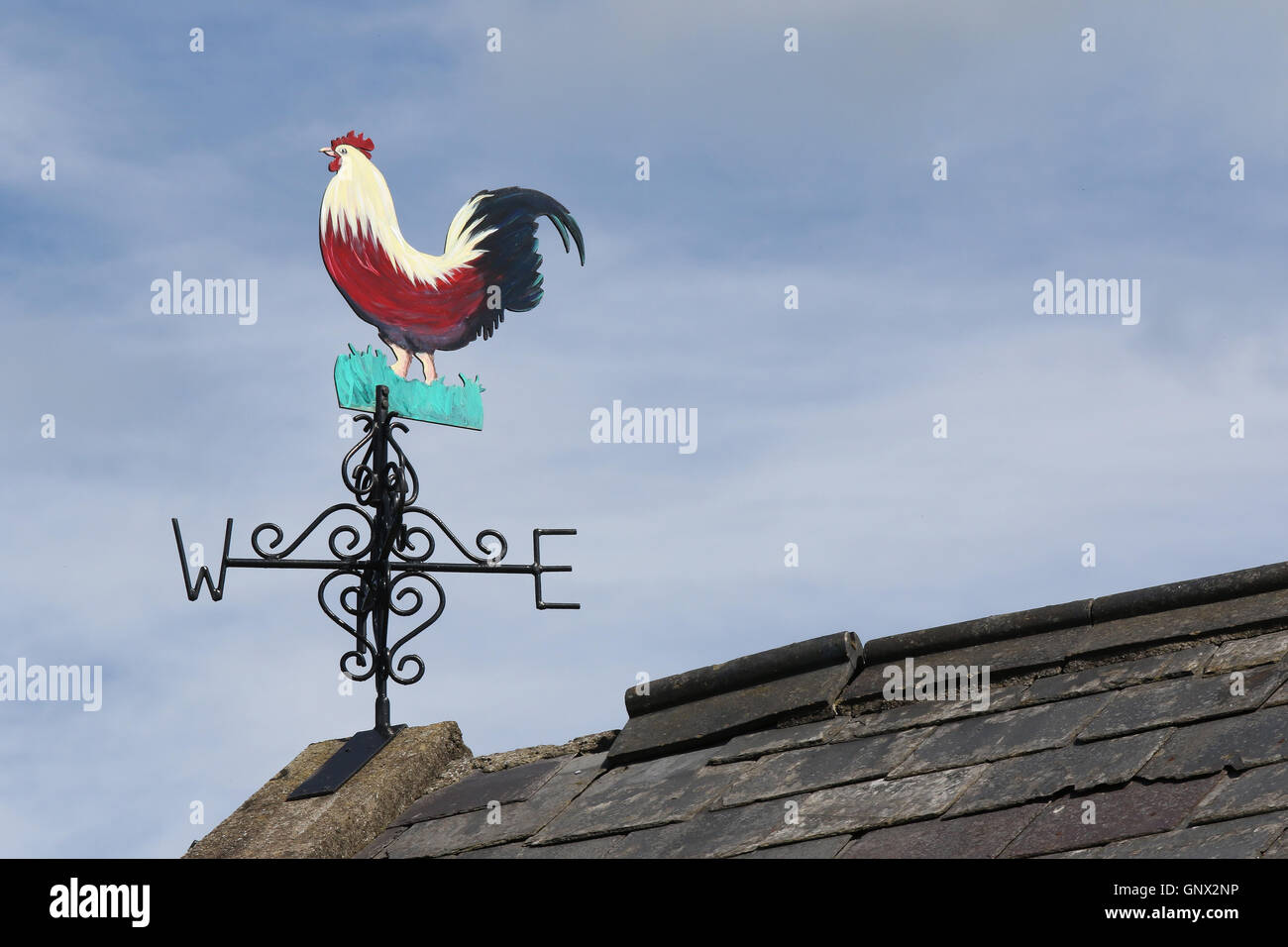 La Rooster a forma di paletta meteo su fattoria dependance in Irlanda del Nord Foto Stock