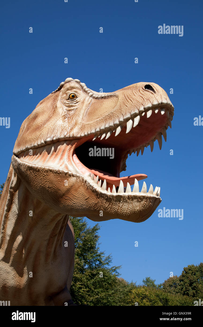 Dinosaur tyrannosaurus rex open mouth immagini e fotografie stock ad alta  risoluzione - Pagina 2 - Alamy